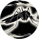 wey ferrer profile picture